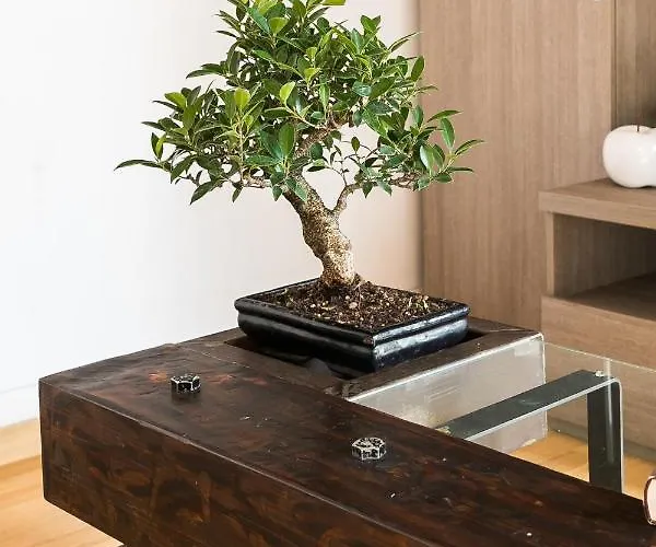 Appartement House Borgo Pio 195